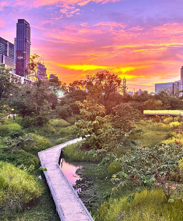 बेनजाकित्ती पार्क बैंकॉक शाम का फव्वारा शो और शहर की क्षितिज रेखा के दृश्य